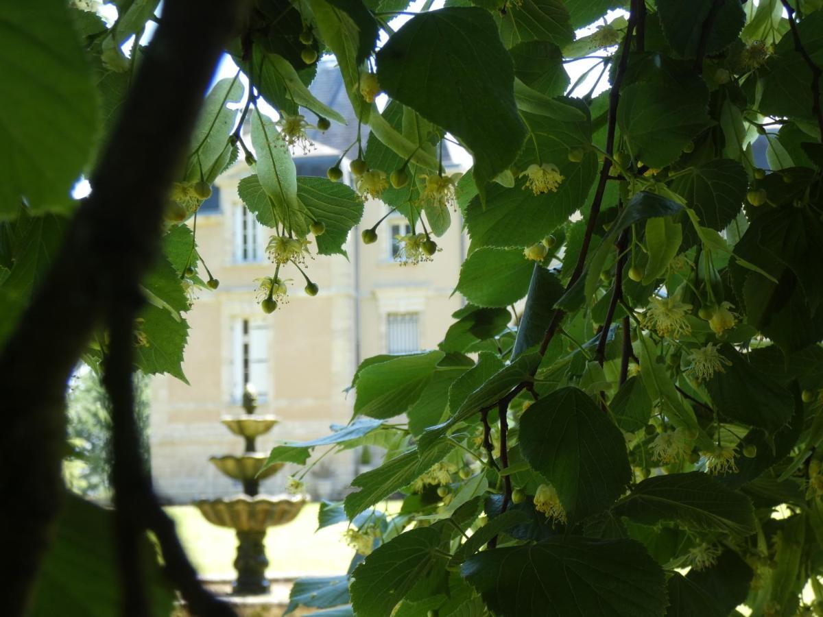 Готель Chateau Marith - Etablissement Climatise Avec Piscine Clairac  Екстер'єр фото