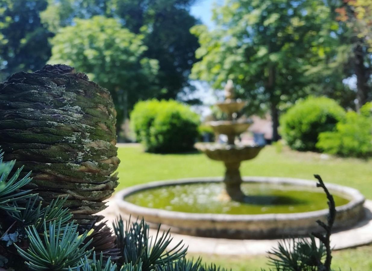 Готель Chateau Marith - Etablissement Climatise Avec Piscine Clairac  Екстер'єр фото